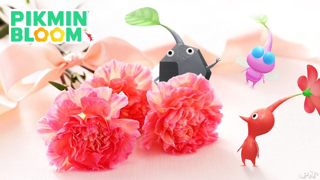 La Fête des Mères dans Pikmin Bloom : des oeillets partout !