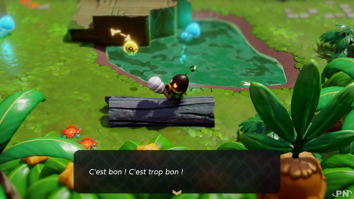 Capture écran du jeu The Legend of Zelda: Echoes of Wisdom (texte en français)