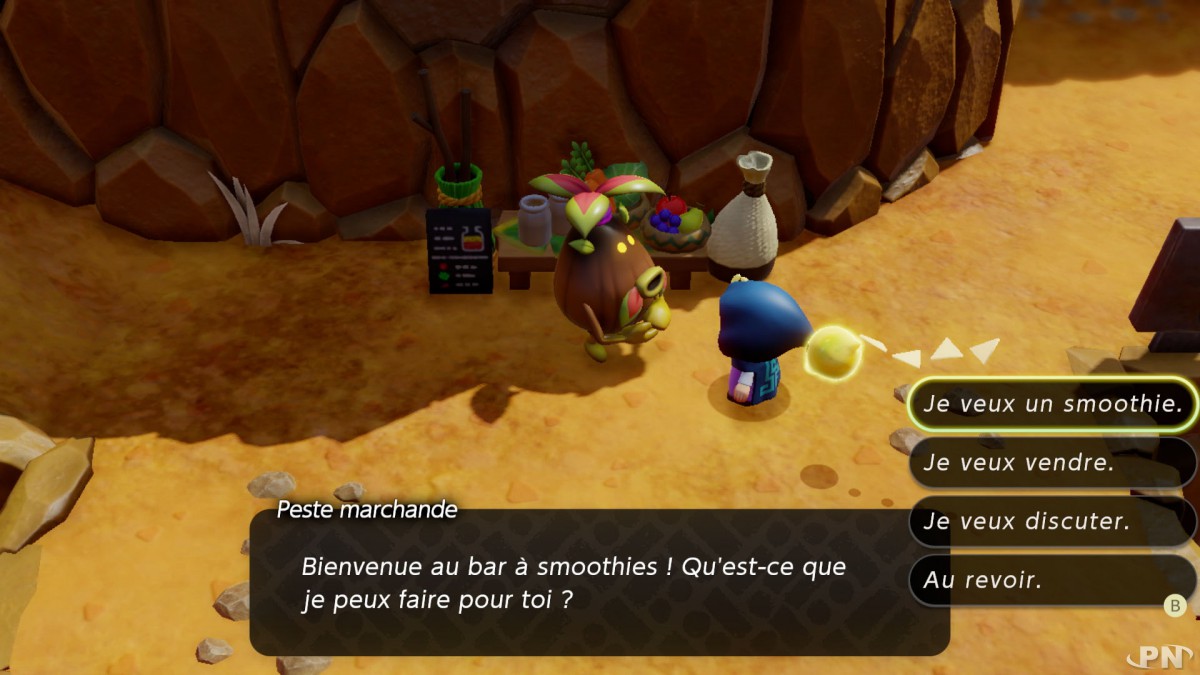 Capture écran du jeu The Legend of Zelda: Echoes of Wisdom (texte en français)