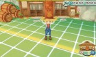 Screenshots de Harvest Moon: The Land's Origin sur 3DS