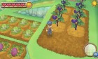 Screenshots de Harvest Moon: The Land's Origin sur 3DS