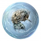 Artworks de Pandora's Tower sur Wii