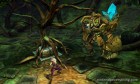 Screenshots de Heroes of Ruin sur 3DS