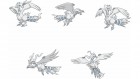 Artworks de Pokémon : à la conquête du clavier sur NDS