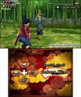 Screenshots de Hana Samurai : Art of the Sword sur 3DS