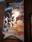 Photos de Pokémon Noir et Blanc 2 sur NDS