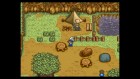 Screenshots de Harvest Moon (CV) sur WiiU