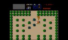 Screenshots de The Legend of Zelda (CV) sur WiiU