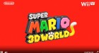 Divers de Super Mario 3D World sur WiiU
