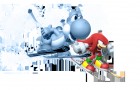 Artworks de Mario & Sonic aux Jeux Olympiques d'Hiver 2014 sur WiiU