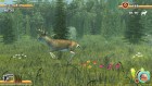Screenshots de Deer Drive Legends sur Wii