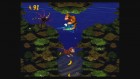 Screenshots de Donkey Kong Country (CV) sur WiiU