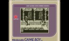 Screenshots de Donkey Kong Land (CV) sur 3DS