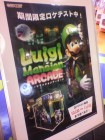 Photos de Luigi's Mansion 2 sur 3DS