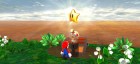 Divers de Captain Toad : Treasure Tracker sur WiiU