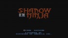 Screenshots de Shadow of the Ninja (CV) sur WiiU