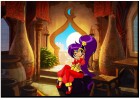 Artworks de Shantae : Risky’s Revenge sur NDS
