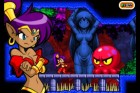 Screenshots de Shantae : Risky’s Revenge sur NDS