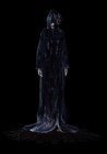Artworks de Project Zero : La prêtresse des eaux noires sur WiiU