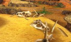 Screenshots de Puzzle & Dragons X sur 3DS