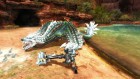 Photos de Monster Hunter Frontier G10 sur WiiU