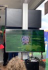 Photos de Pokémon Let's Go Pikachu/Evoli sur Switch