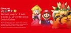Capture de site web de Nintendo Switch Online