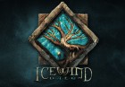 Artworks de Icewind Dale : Enhanced Edition sur Switch