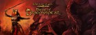 Artworks de Baldur's Gate : Siege of Dragonspear sur Switch
