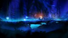 Screenshots de Ori and the Blind Forest : Definitive Edition  sur Switch