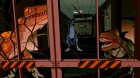 Screenshots de Jurassic World Aftermath Collection sur Switch