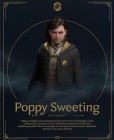 Artworks de Hogwarts Legacy : L'Héritage de Poudlard sur Switch