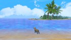 Screenshots de Little Friends: Puppy Island sur Switch