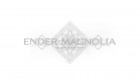 Logo de Ender Magnolia: Bloom in The Mist sur Switch