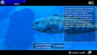 Screenshots de Endless Ocean Luminous sur Switch