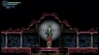 Screenshots de Chronicles of the Wolf sur Switch