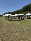 Photos de Pokémon GO sur Mobile