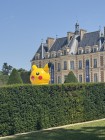 Photos de Pokémon GO sur Mobile
