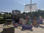 Photos de Pokémon GO sur Mobile