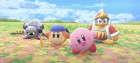 Capture de site web de Kirby Air Riders sur Switch 2