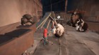 Screenshots de Herdling sur Switch