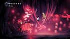 Screenshots de Hollow Knight – Nintendo Switch 2 Edition sur Switch 2