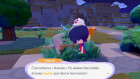 Screenshots de Pokémon Pokopia sur Switch 2