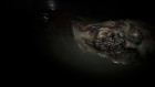 Screenshots de Resident Evil 7: Biohazard sur Switch 2