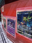 Photos de Jeu de cartes à jouer et à collectionner Pokémon Pocket sur Mobile