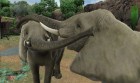 Screenshots de  Zoo Mania 3D : Build and Manage your Zoo sur 3DS