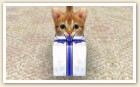 Screenshots de Nintendogs + Cats sur 3DS