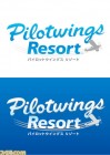 Artworks de Pilotwings Resort sur 3DS