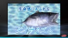 Screenshots de Reel Fishing Paradise sur 3DS