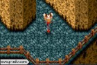 Screenshots de Banjo-Kazooie : Grunty's Revenge sur GBA